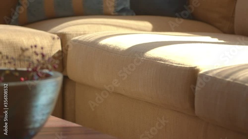 Focused Shot / Light hitting Beige Couch with Pillows / Decorative Vase with Flowers / Furniture