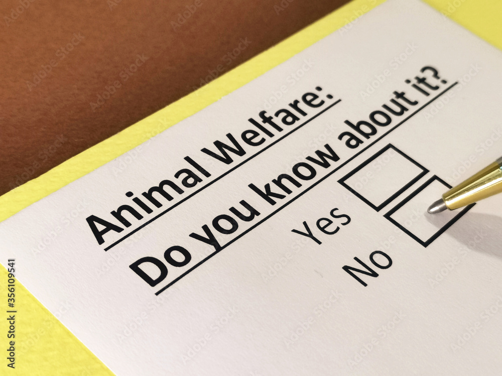 Obraz premium One person is answering question about animal welfare.