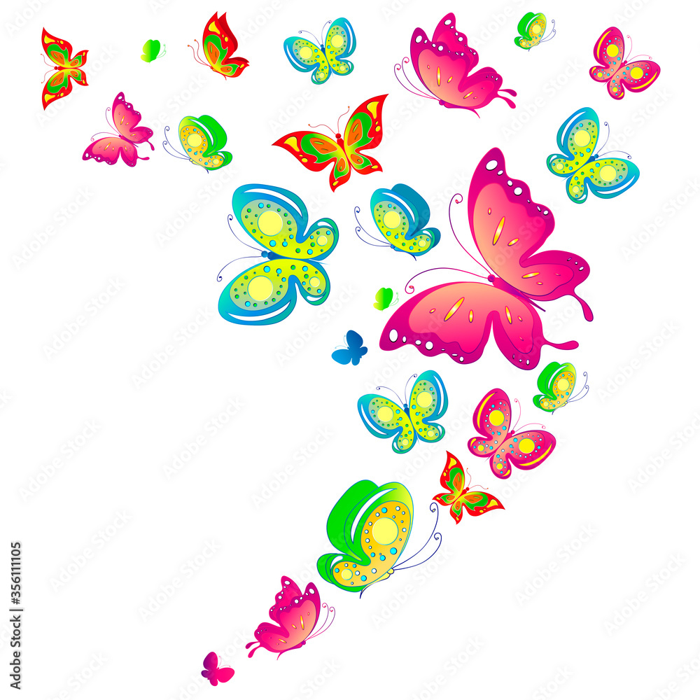 butterfly660 butterfly660