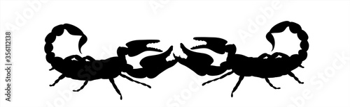 Vector silhouette of couple of scorpion on white background. Symbol of animals.
