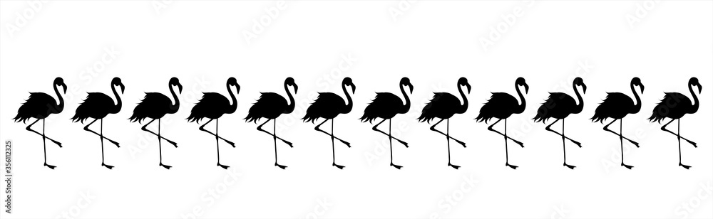 Obraz premium Vector silhouette of collection of flamingo on white background. Symbol of lake animals.