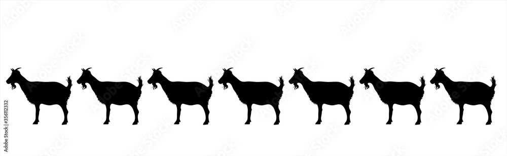 Vector silhouette of collection of goats on white background. Symbol of farm animals.