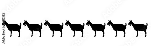 Vector silhouette of collection of goats on white background. Symbol of farm animals.