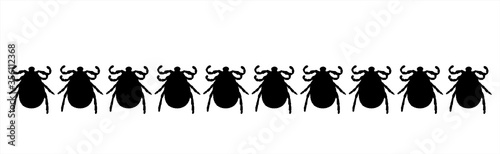 Vector silhouette of collection of ticks on white background. Symbol of insect.
