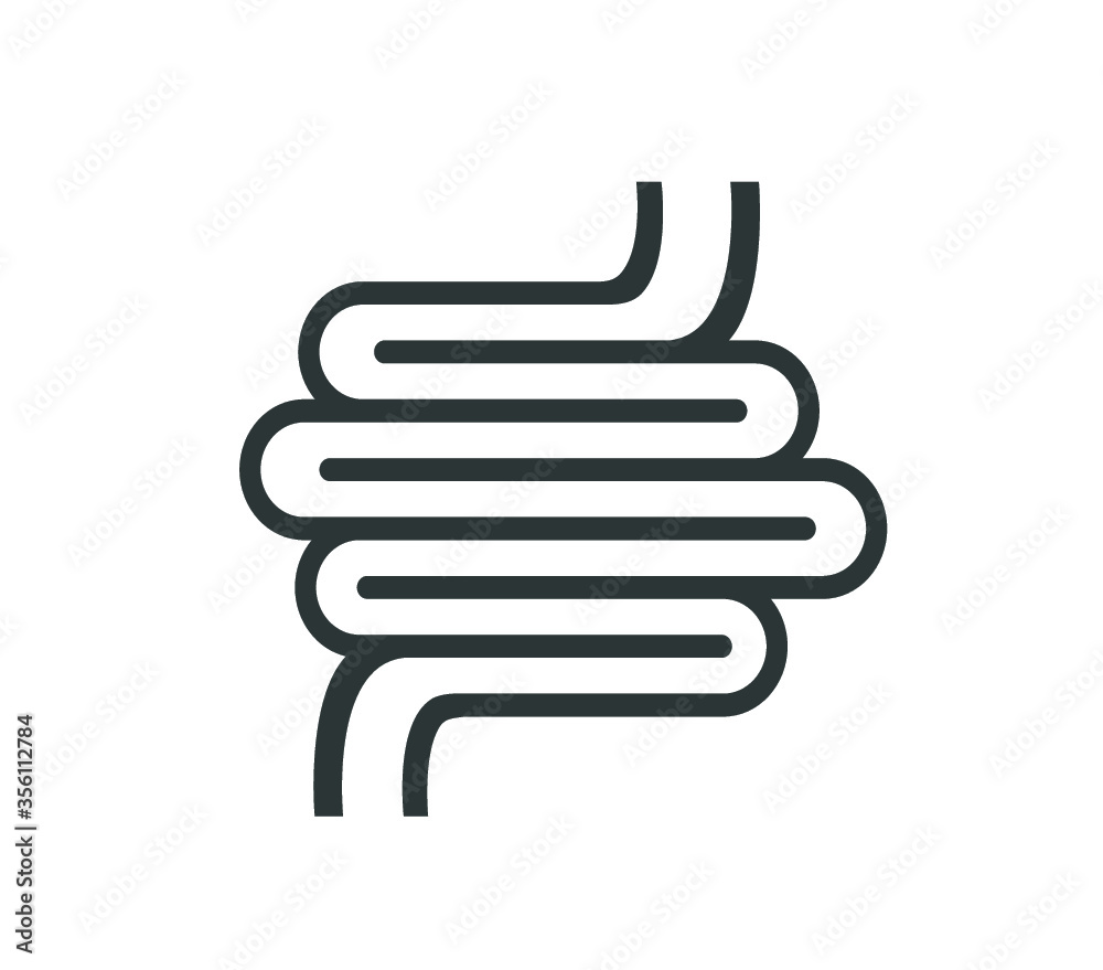 Intestines icon. Vector simple intestines design. Intestines icon. Vector simple intestines design.