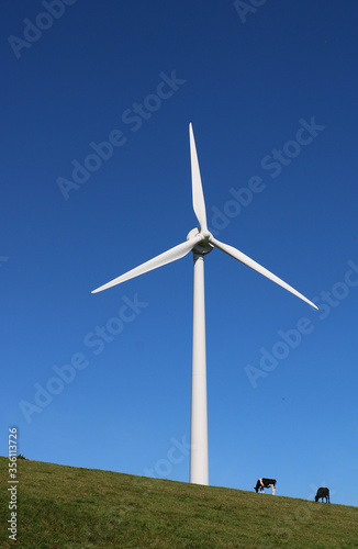A wind turbine against a deep blue sky. Some distant cattle graze beneath it giving it scale and also highlighting the current trend to reduce meat eating in favour of the environment.