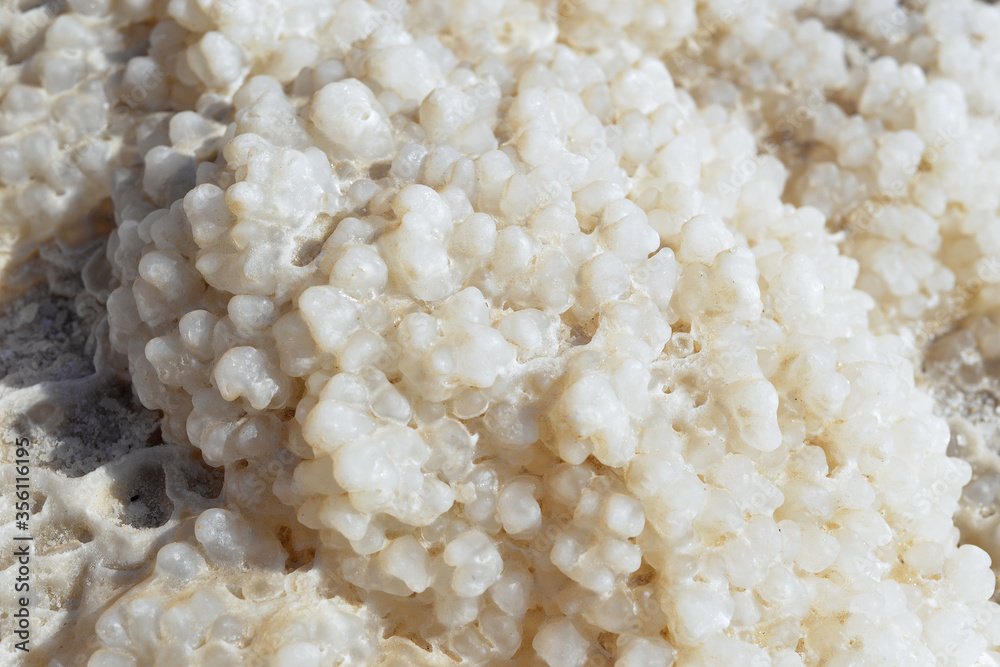 Dead Sea salt natural mineral formation at the Dead Sea Dead Sea salt natural mineral formation at the Dead Sea