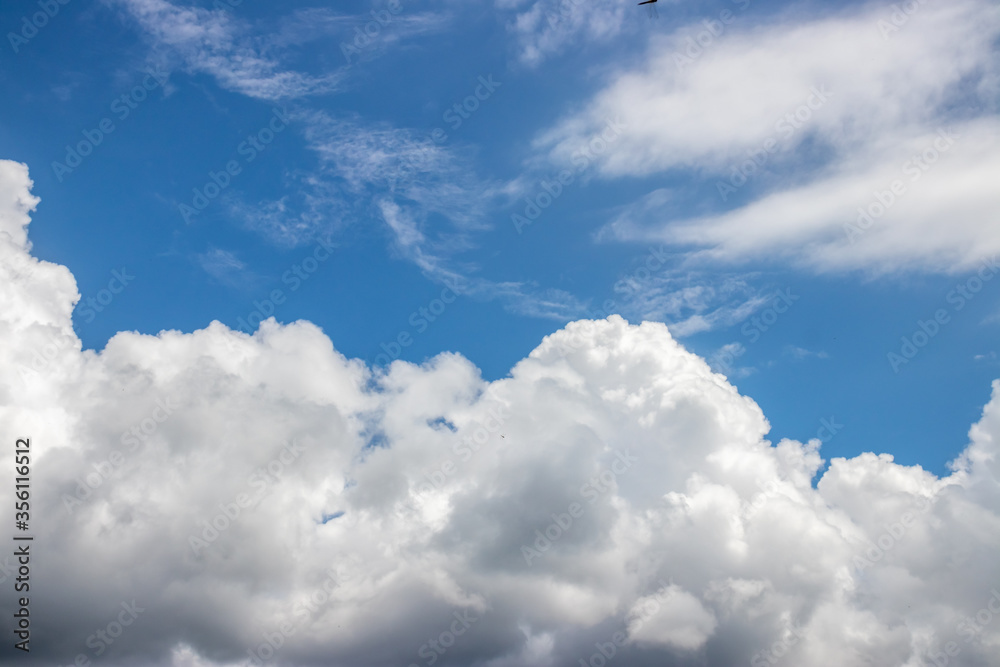 Obraz premium 青空の素材