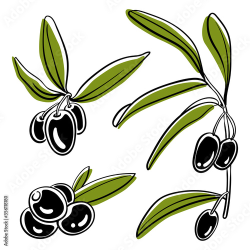 Olives on branches with leaves collection. Colorful sketch of vegetables isolated on white background. Doodle hand drawn vegetables. Vector illustration
