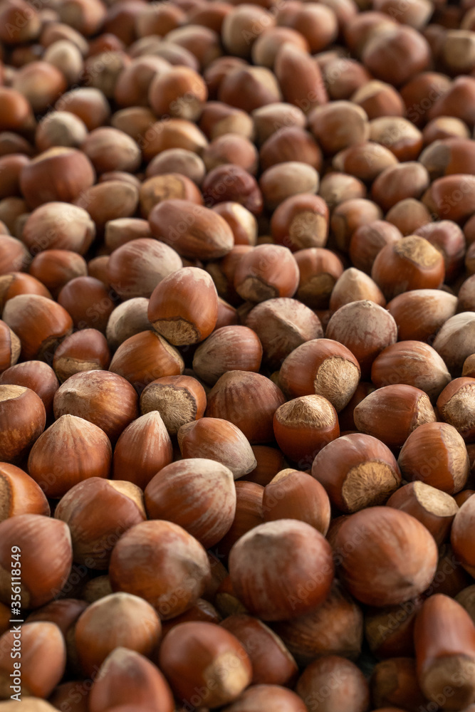 background hazelnuts. Hazelnut composition and backgorund. Turkish hazelnuts. organic natural food. nuts
vertical framing. food photos background hazelnuts. Hazelnut composition and backgorund. Turkish hazelnuts. organic natural food. nuts
vertical framing. food photos
