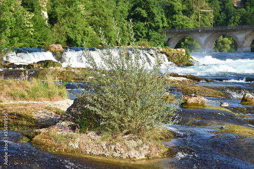 Rheinfall bei Schaffhausen in der Schweiz 20.5.2020 photo