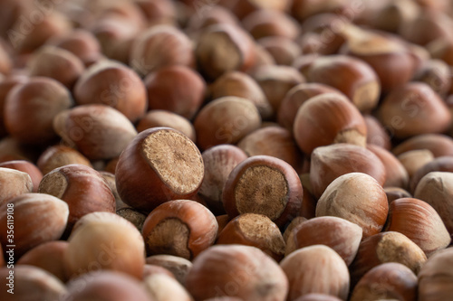 Close up hazelnuts. Hazelnut composition and backgorund. Turkish hazelnuts. organic natural food. close up art photo
