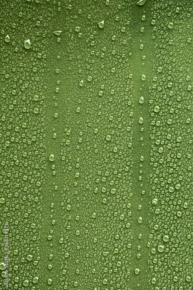 Raindrops on green metal surface