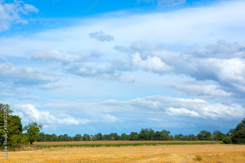 Open field at summer in countryside.