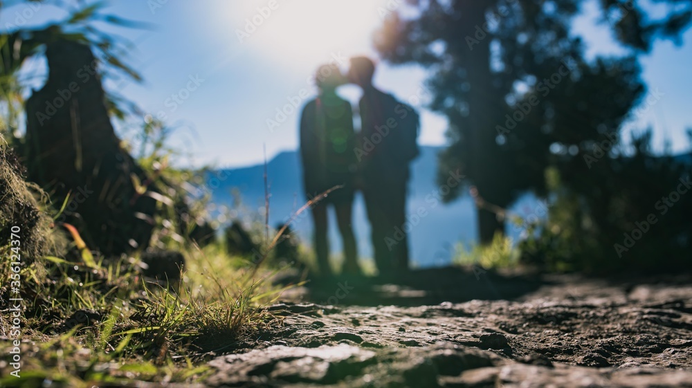 Obraz premium Pocałuj w słońcu