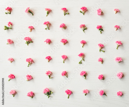 Background from flowers. Pink small flowers are arranged in a row. Screensaver on the phone.