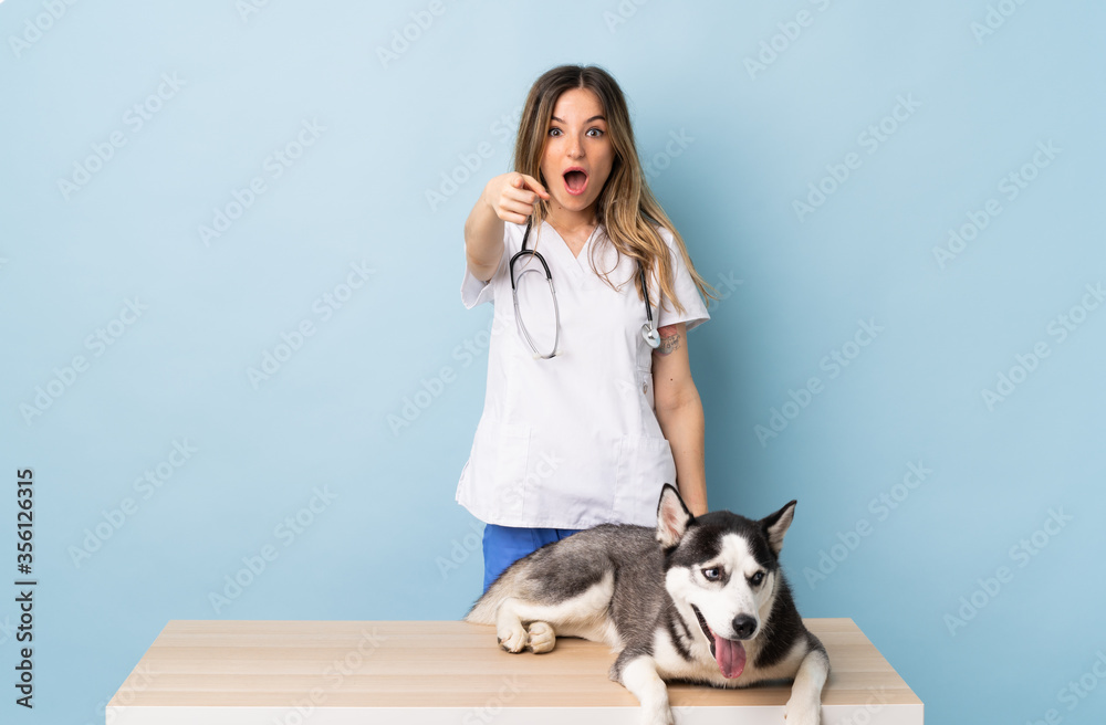 Veterinary doctor at vet clinic with Siberian Husky dog over isolated blue background surprised and pointing front Veterinary doctor at vet clinic with Siberian Husky dog over isolated blue background surprised and pointing front