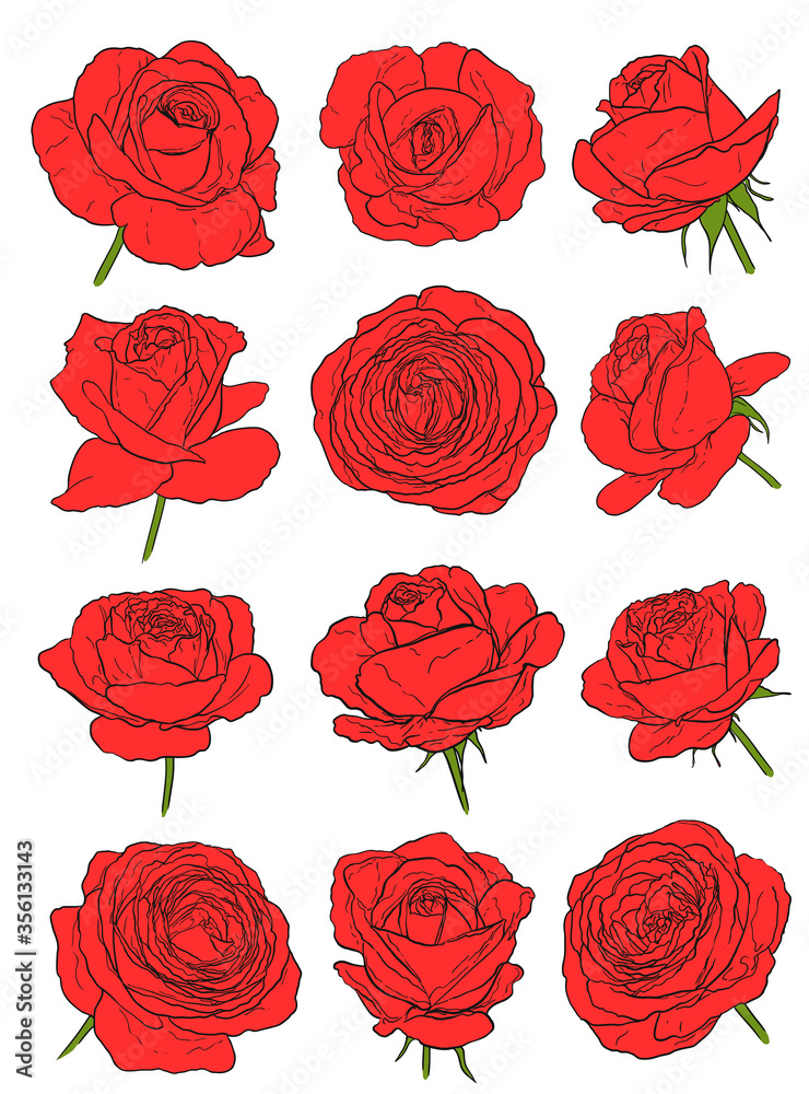 red roses set on white. hand drawn flowers vector illustration red roses set on white. hand drawn flowers vector illustration