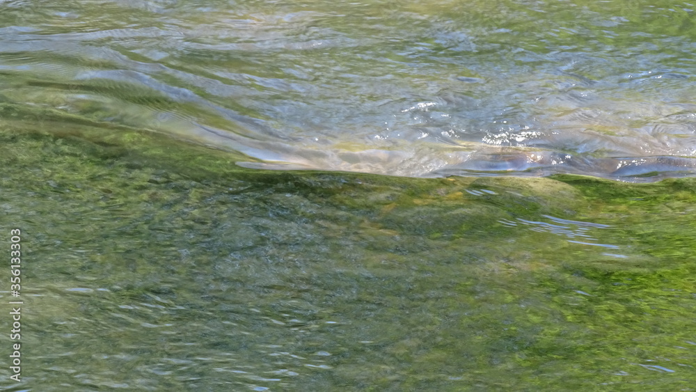 Fototapeta premium water flowing into the river