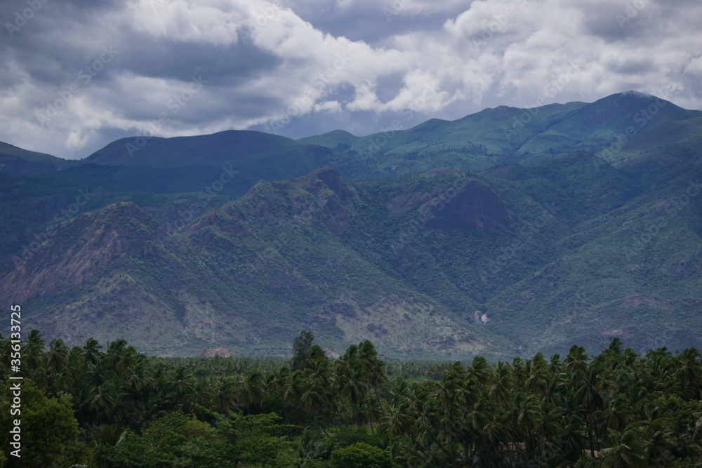 Beautiful mountain view with clouds floating on its peak and coconut trees on the bottom in Theni, India Beautiful mountain view with clouds floating on its peak and coconut trees on the bottom in Theni, India