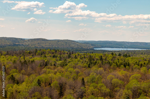 View of Rock Lake from the the Booth rock trail in Algonquin Park  Ontario  Canada.