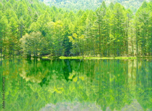 静かな森を映す池(東山魁夷「緑響く」のモチーフ)