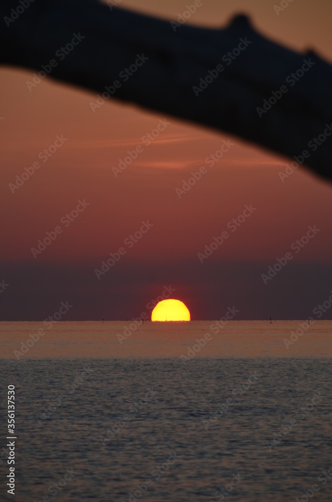 alba marina alba marina