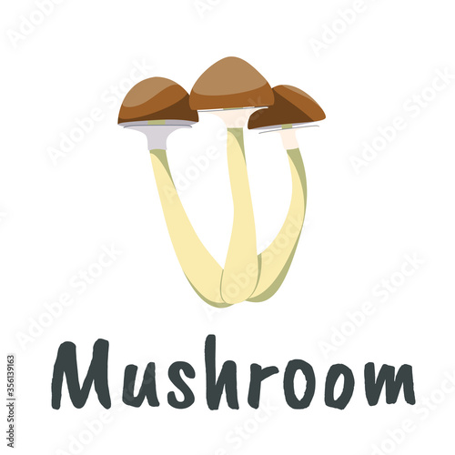Mushrooms isolated on a white background with the words Mushrooms