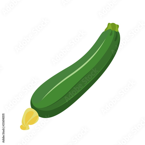Green Zucchini isolated on a white background