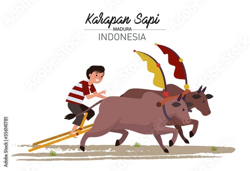 A boy racing in a cow racing from Madura Island, East Java.  In this race, a pair of cows pulling a kind of wooden chariot are driven in a race to compete against other pairs of cows.