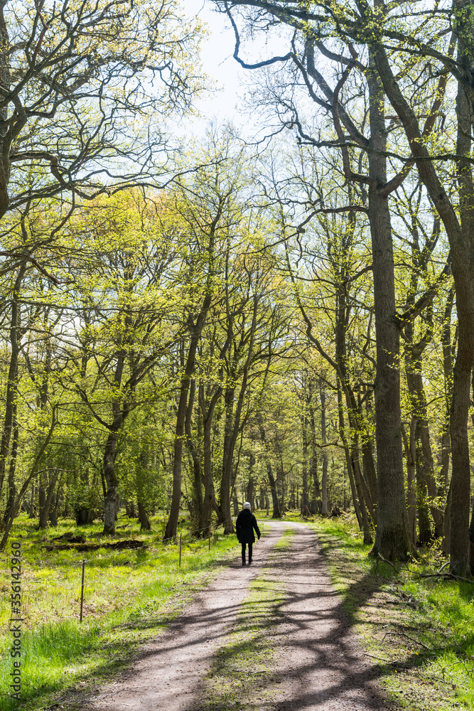 Woman walking in a beautiful forest