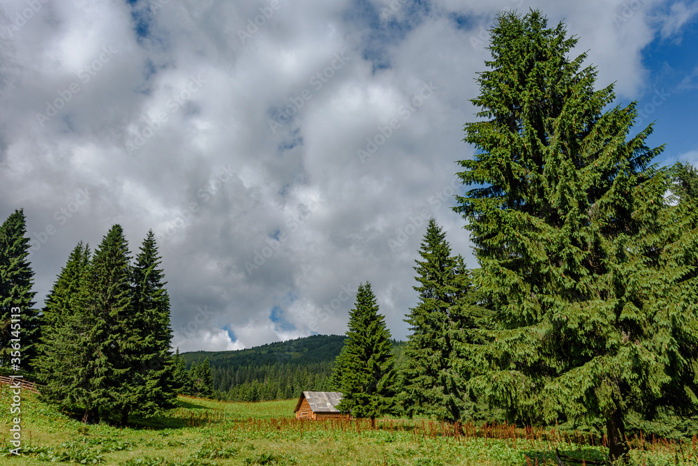 Small wooden cottage and fresh green meadow in Carpathian mountains