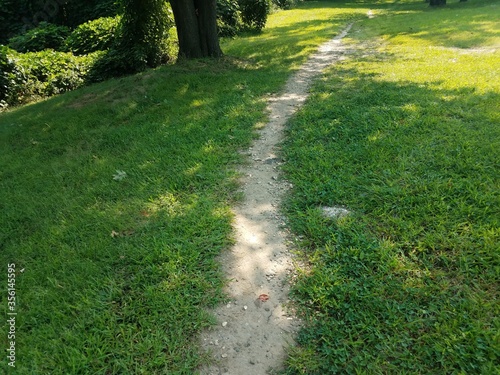 dirt trail in the green grass
