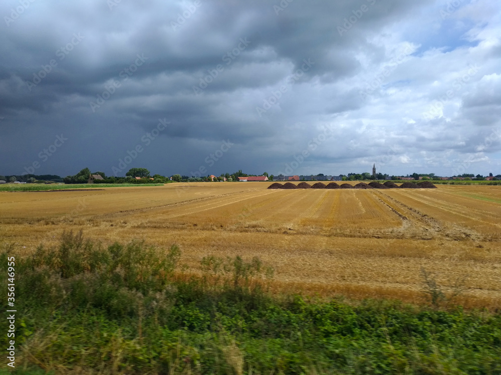 View of the field after harvesting. Dark sky before the rain over the field.