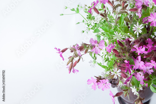 isolated bouquet of meadow flowers on a white background.