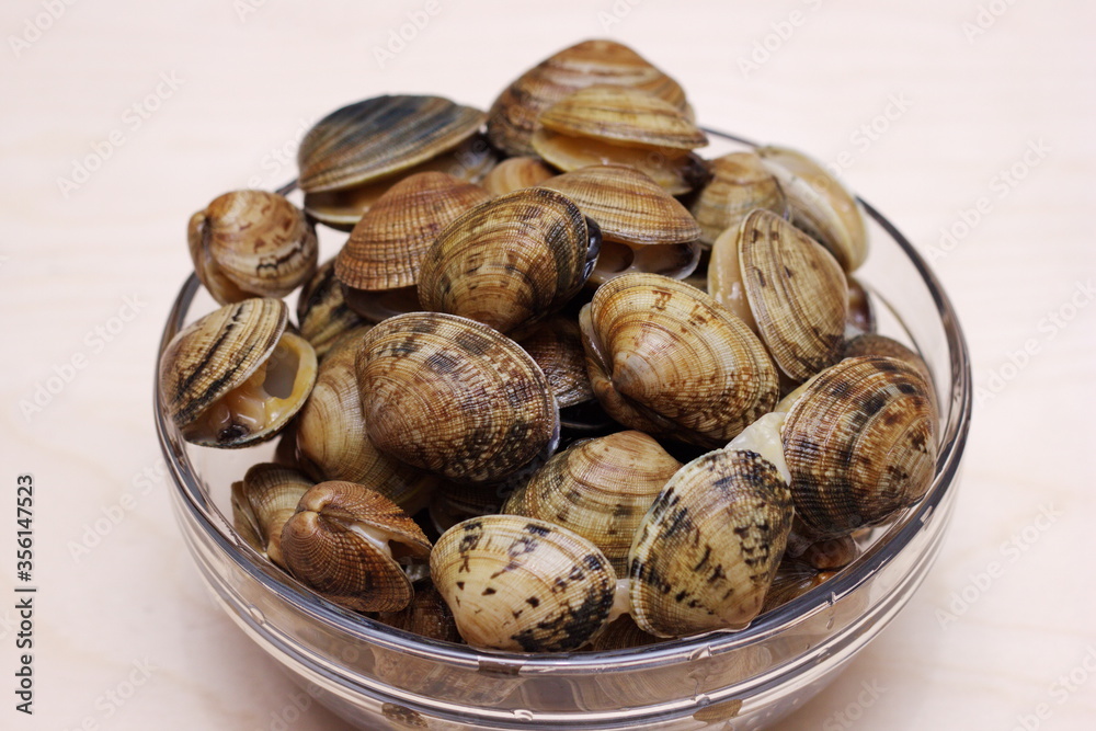 Vongole clams are ready for cooking. Fresh clams. Vongole clams are ready for cooking. Fresh clams.