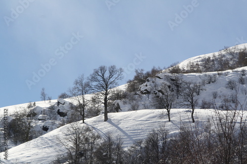 Wallpaper Mural inverno Torontodigital.ca