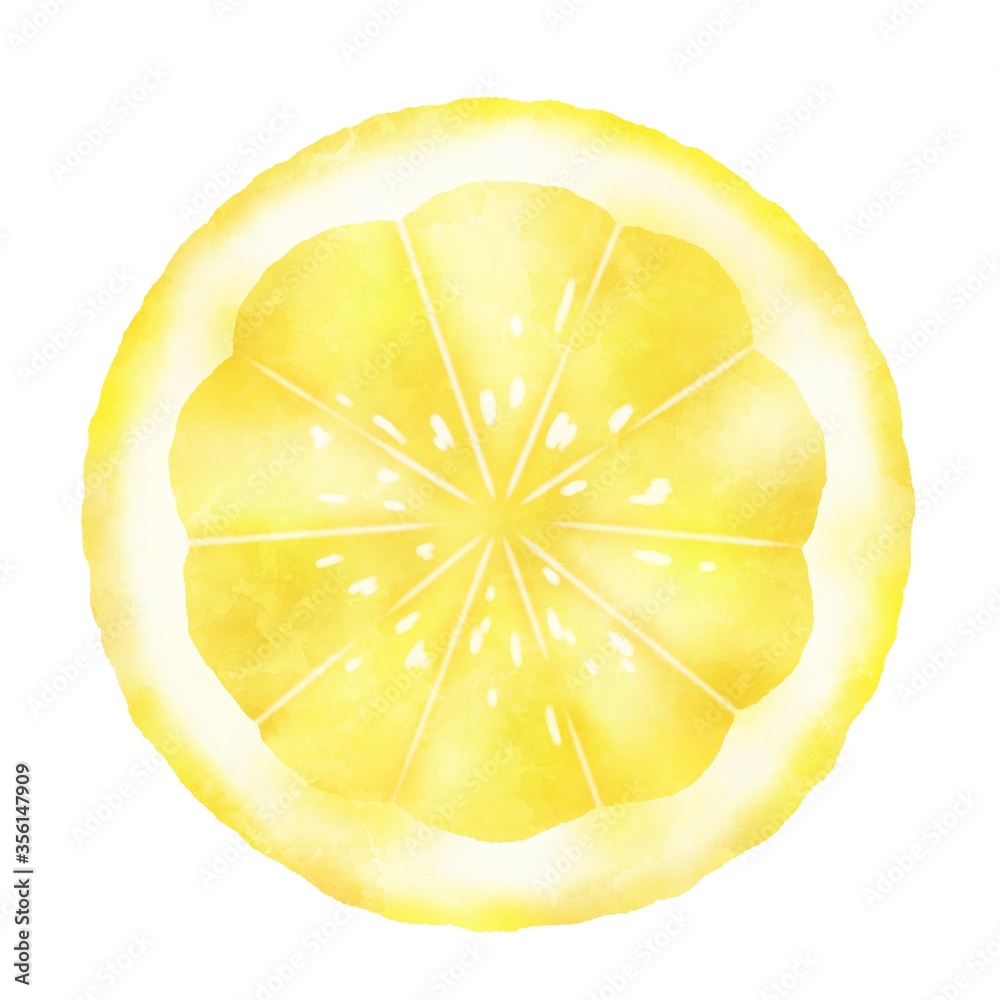 水彩タッチな輪切りレモン Stock イラスト Adobe Stock