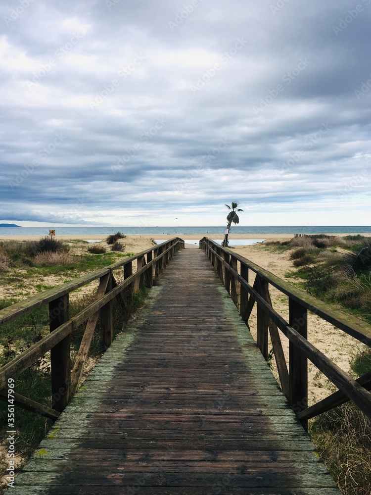 Obraz premium walk on the beach