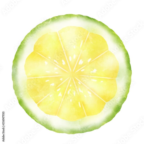 水彩タッチなグリーンレモン ライムの輪切り Ilustracion De Stock Adobe Stock