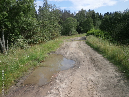 Photo of a traditional Russian landscape with a dirty road, with puddles with trees. Ideas for designing websites, articles, printing on clothes, printing on postcards, on T-shirts, postcards, cards.