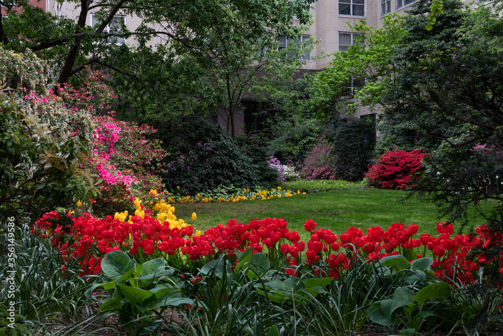Beautiful Spring Garden with Colorful Flowers and Plants in a City