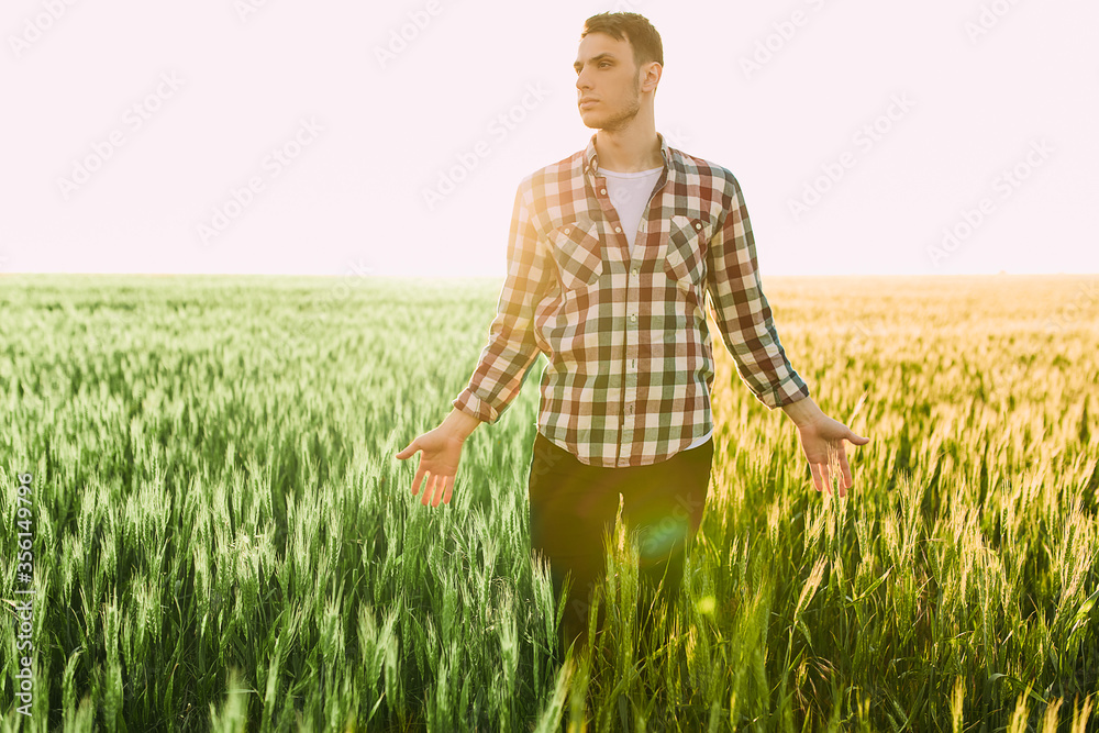 man a farmer stands in a wheat field against the background of a Sunny sunset, wheat blooms