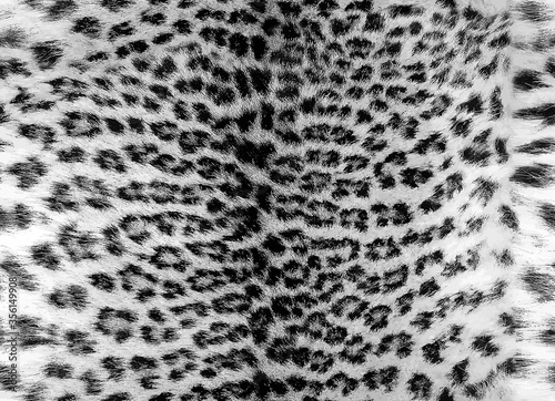 Seamless black white leopard fur pattern