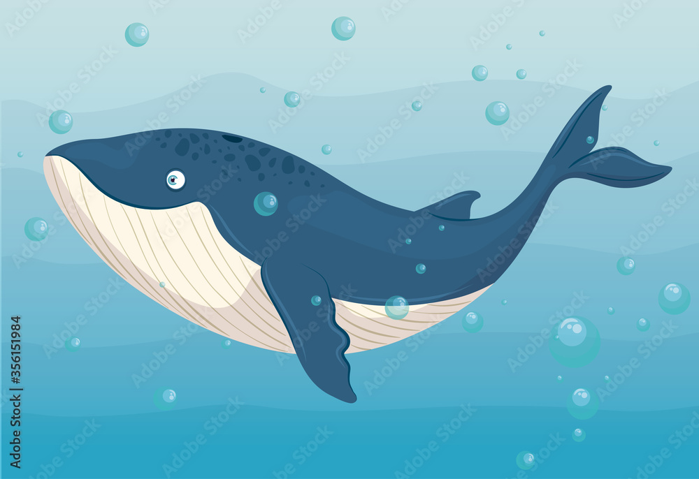 blue whale marine animal in ocean, sea world dweller, cute underwater creature,habitat marine, undersea fauna of tropic vector illustration design