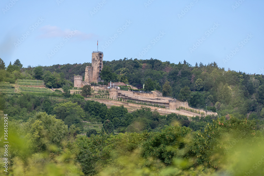 View over the vineyards to Wachtenburg castle ruins