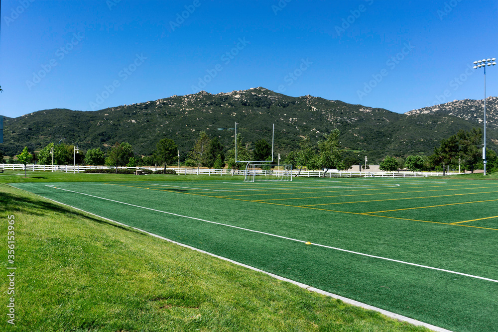 Turf covered field with mountain views