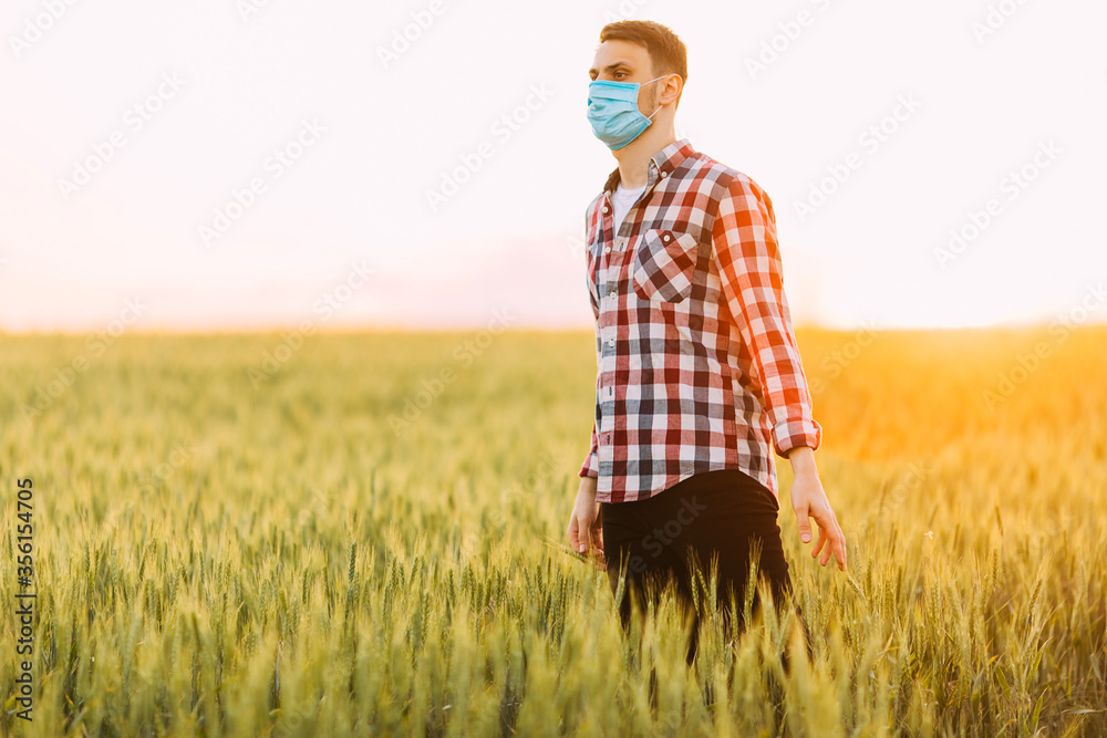 A man in a checked shirt, with a medical protective mask on his face, walks through a wheat field against the background of the setting sun A man in a checked shirt, with a medical protective mask on his face, walks through a wheat field against the background of the setting sun