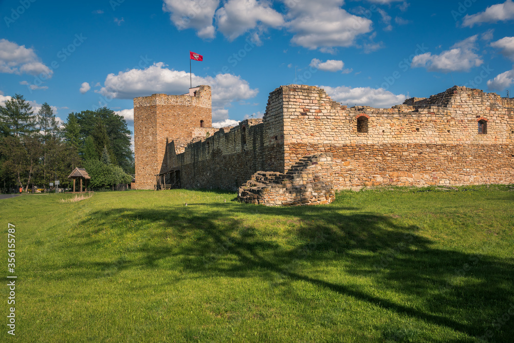 The ruins of the royal castle from the 14th century in Inowlodz, Lodzkie, Poland