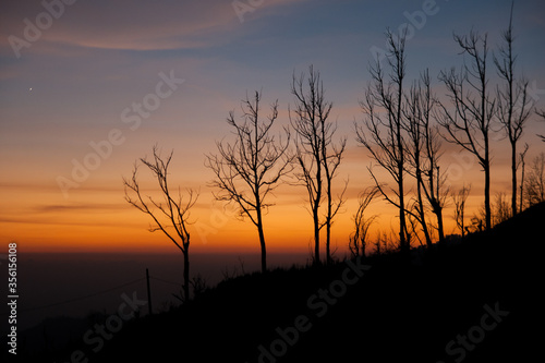 Silhouette Of Trees Against Sunset © Wawan